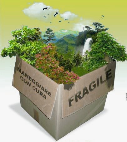 bonifica pieve vergonte