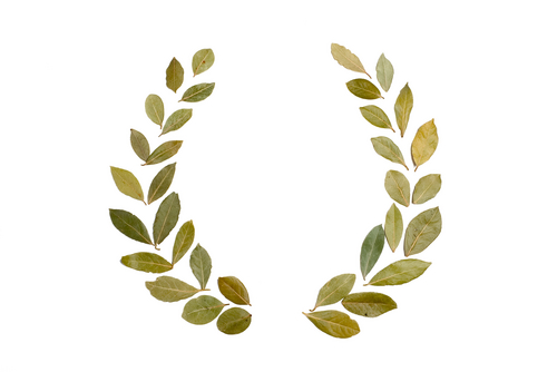 laurel
