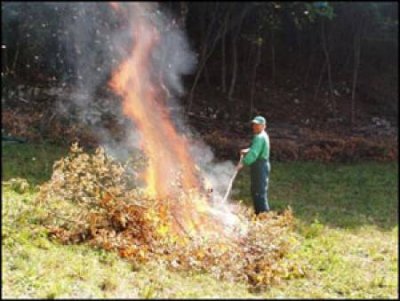 divieto di bruciare residui vegetali